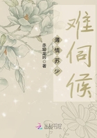 薄情苏少难伺候